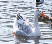 2019 03 17 Veterns MemorialPark 003
